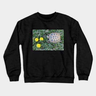 Tortoise and Dandelions Crewneck Sweatshirt